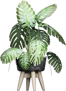 Semi-Indoor plant